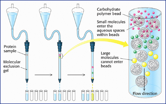 Nueva técnica (cromatografia de filtración de gel)