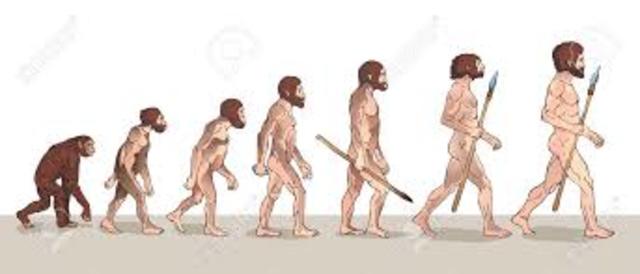 Administración en la época primitiva