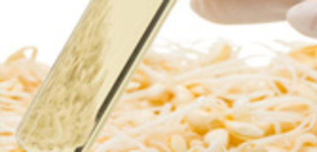 Cromatografía en capa fina