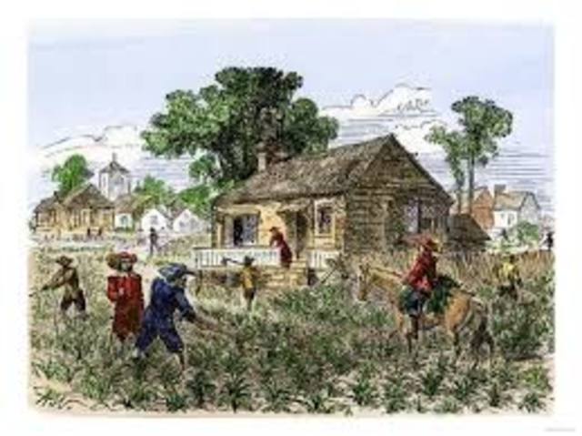 Colonial Economies (Lower South)