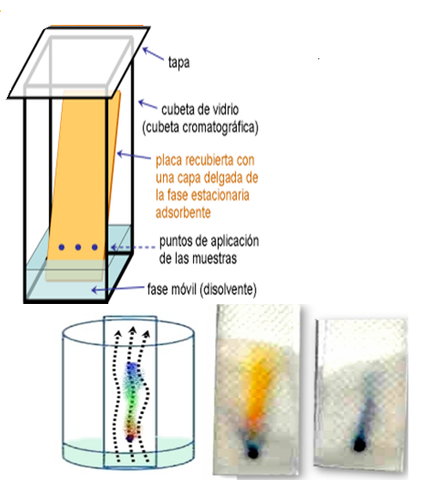 Cromatografia de Capa fina