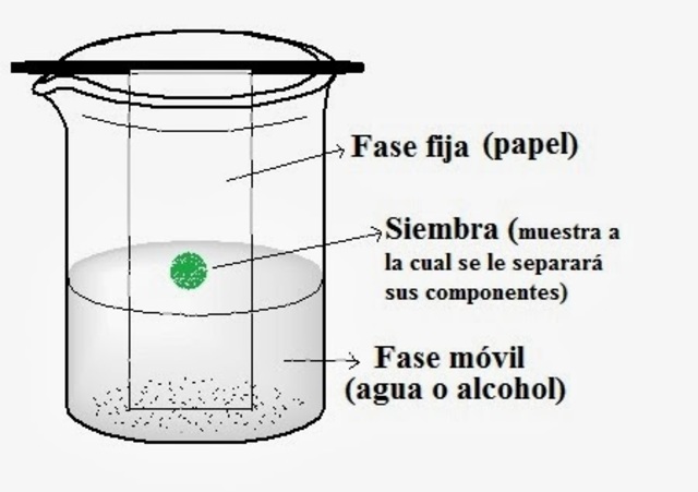 Aparición de la Cromatografia
