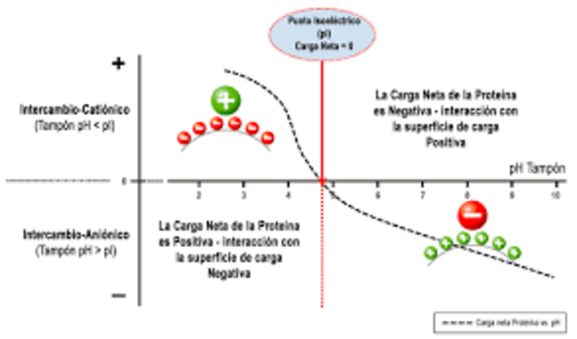 Cromatografia de intercambio ionico