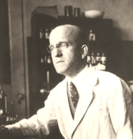 ADN: “Material Del Que Los Genes Y Los Cromosomas Están Formados”.