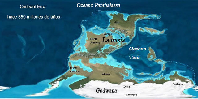 La explosión cambrica