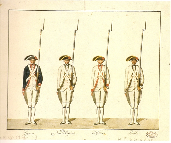 Reorganización del Virreinato Esapñol