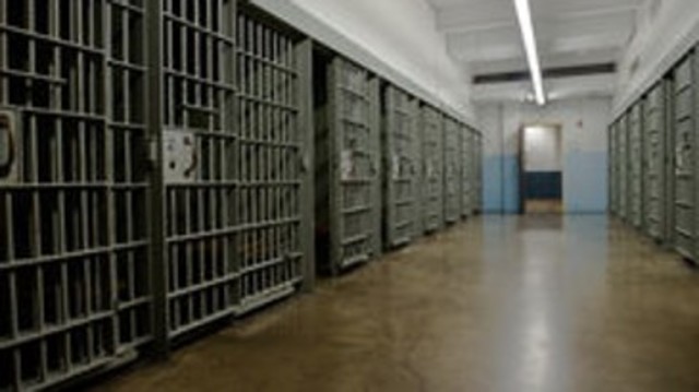 Prisons and Asylums Form