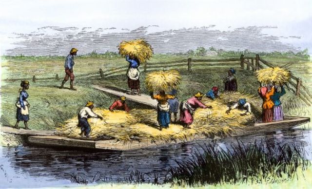 Colonial Economies