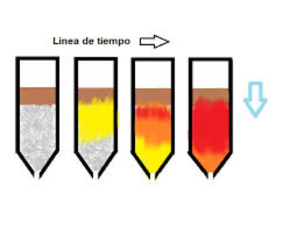 Desarrollo de Cromatografía