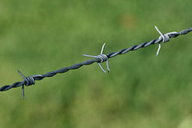 Barbwire
