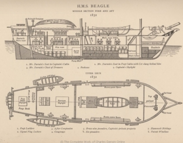 Voyage on the HMS Beagle