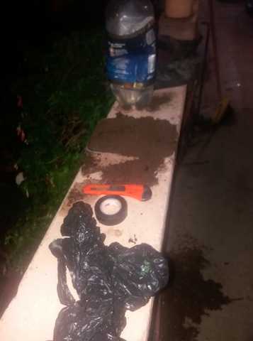 Hormonas establecidas.