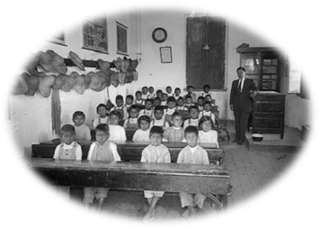 EL  CURRICULO DE LANUEVA GRANADA