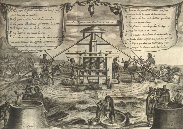 Sugarcane Moves to Caribbean