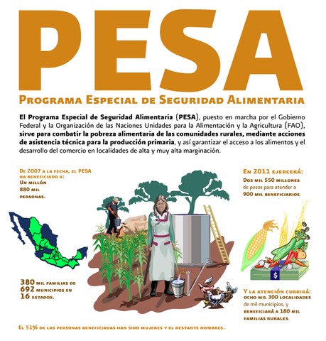 IMPORTANCIA DEL MODELO ECONÓMICO REGULATORIO