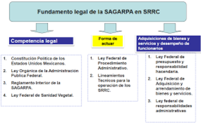 ACTIVIDAD EMPRESARIAL