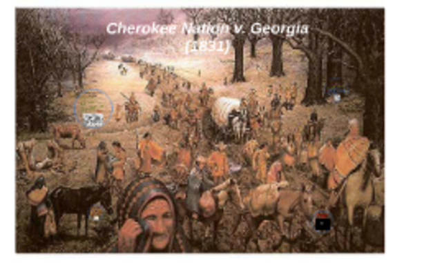 Cherokee Nation v. Georgia