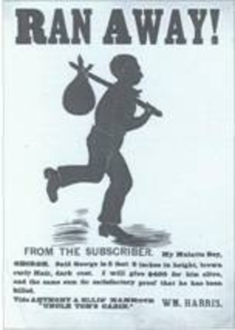 Personal Liberty Laws