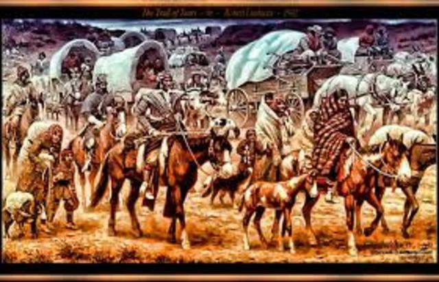 Jackson Administration