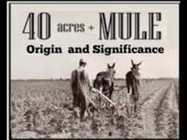 40 acres and a mule