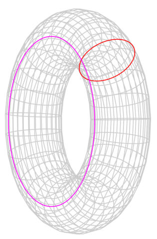 The Poincaré Conjecture