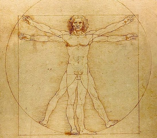 The Vitruvian Man