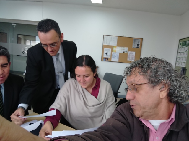 Reunión discusión árboles de problemas.