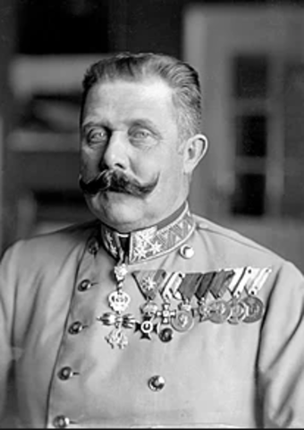 Archduke Franz Ferdinand is shot-Why?