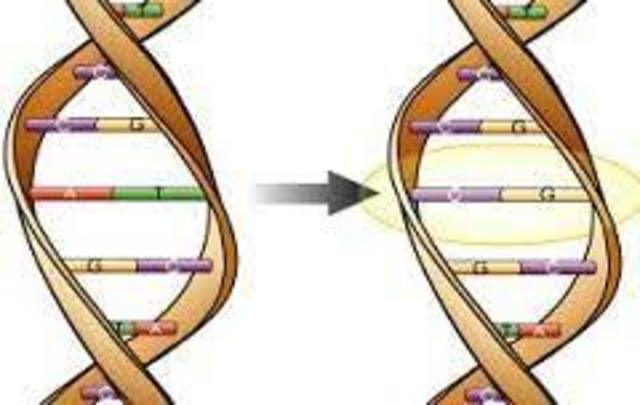 DE VRIES "MUTACIONS"