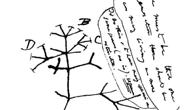 Charles Darwin - 1809 to 1882 - Contributions to the World pt. 2