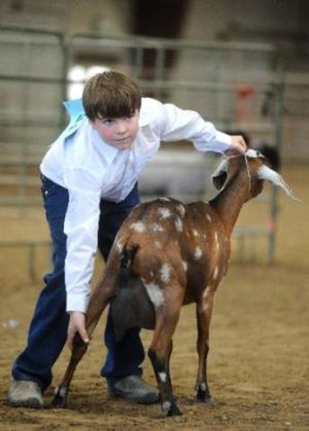 First county fair in Colorado put on in Boulder County