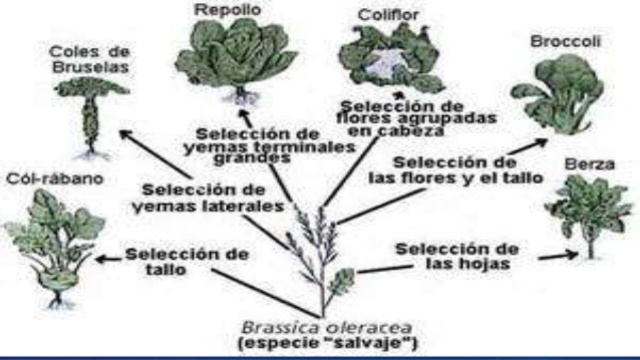 Posibles Excepciones