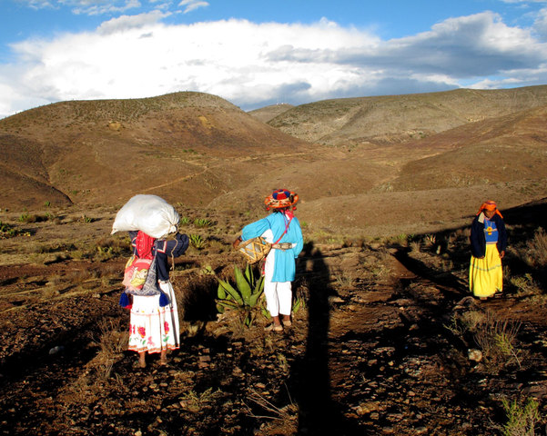 Delcaración de NADA DEVI