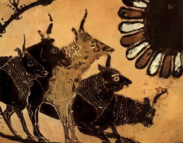 Helios’ Cattle Part 1