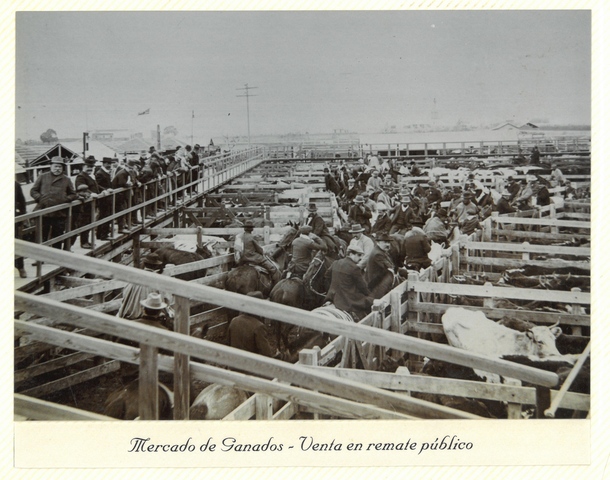 1 ° de mayo - Comienza a funcionar oficialmente el Matadero Municipal y el Mercado Municipal de Hacienda.