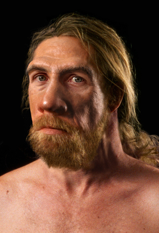 Homo neanderthalensis