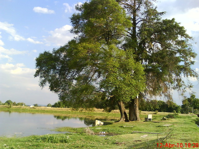 Cambio de apellido en la familia de mi abuela