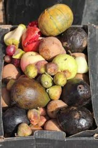 ¿Qué es la calidad?