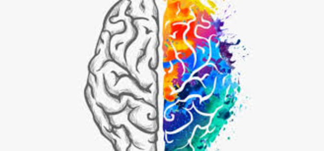 Distintas mallas de aprendizaje