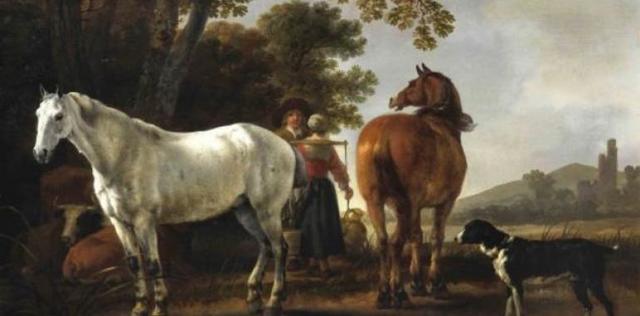 LA DOMESTICACIÓ  DEL CAVALL