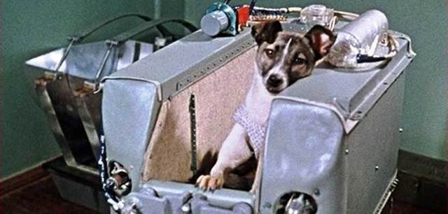 Laika au bord du spoutnik 2