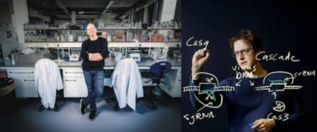 John van der Oost en Stan Brouns karakteriseren vijf Cas-eiwitten en de werking hiervan maar de belangrijkste stap was dat ze hebben aangetoond dat het mogelijk is om elk stuk DNA te knippen m.b.v  een gesynthetiseerd CRISPR complex