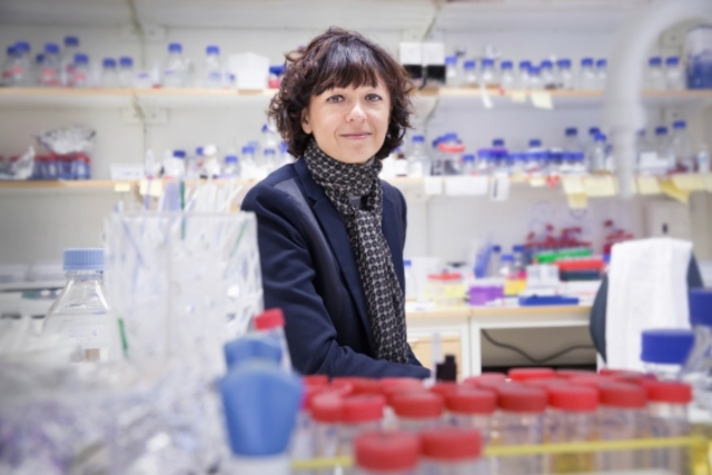 Onder leiding van Emmanuelle Charpentier is nu het volledige mechanisme van CRISPER-Cas9 complex opgehelderd