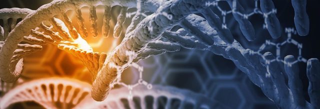 Na verder onderzoek ontdekt Siksnys dat Cas9 geherprogrammeerd kan worden om te binden aan een specifieke DNA sequentie