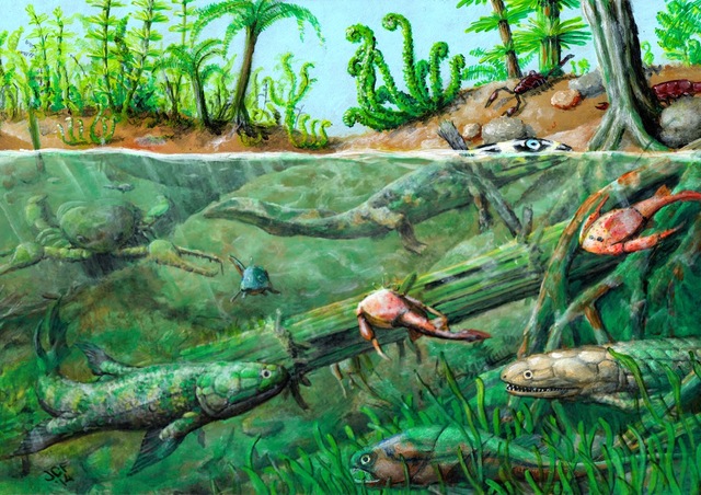 FANEROZOIC. PALEOZOIC. DEVONIÀ