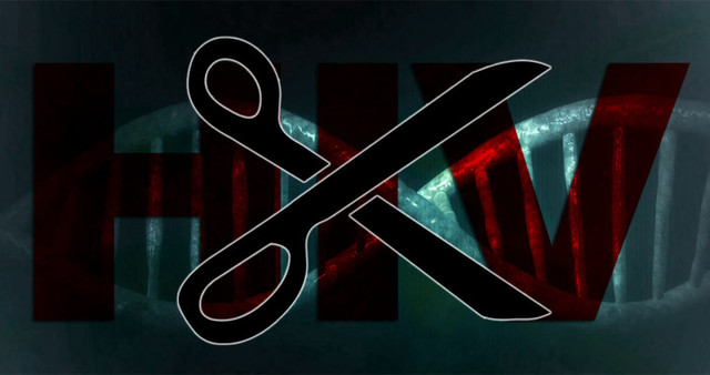 Het is wetenschappers gelukt om HIV DNA bij drie verschillende model organismen uit het genoom te knippen