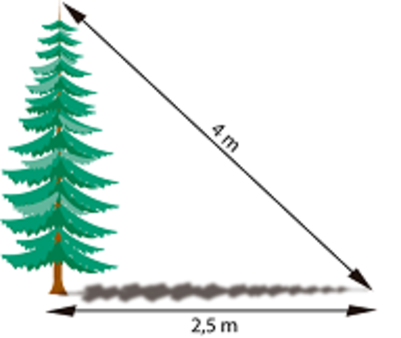 Teorema de Pitágoras