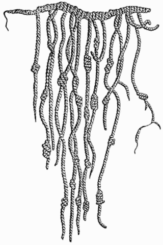 QUIPU