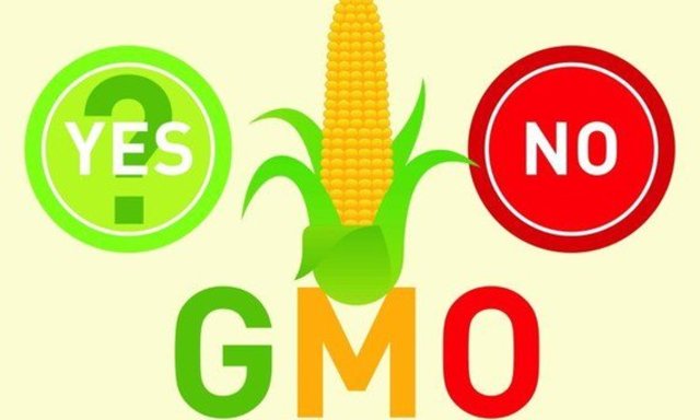 Voordat CRISPR bestond waren er debatten over genetisch gemodificeerde organismes (GMO's). Er werd zelfs een anti-GMO beweging gestart door Greenpeace