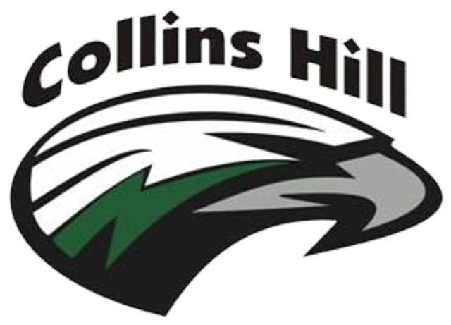 Found out I got accepted into the Varsity Cheer leading Team